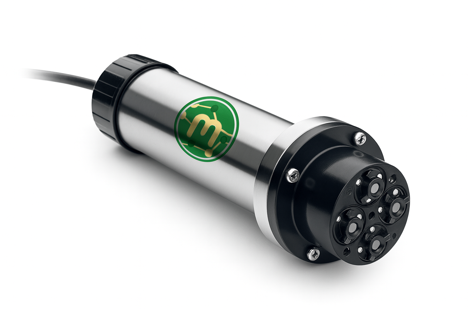 Leaf close-up showing chlorophyll